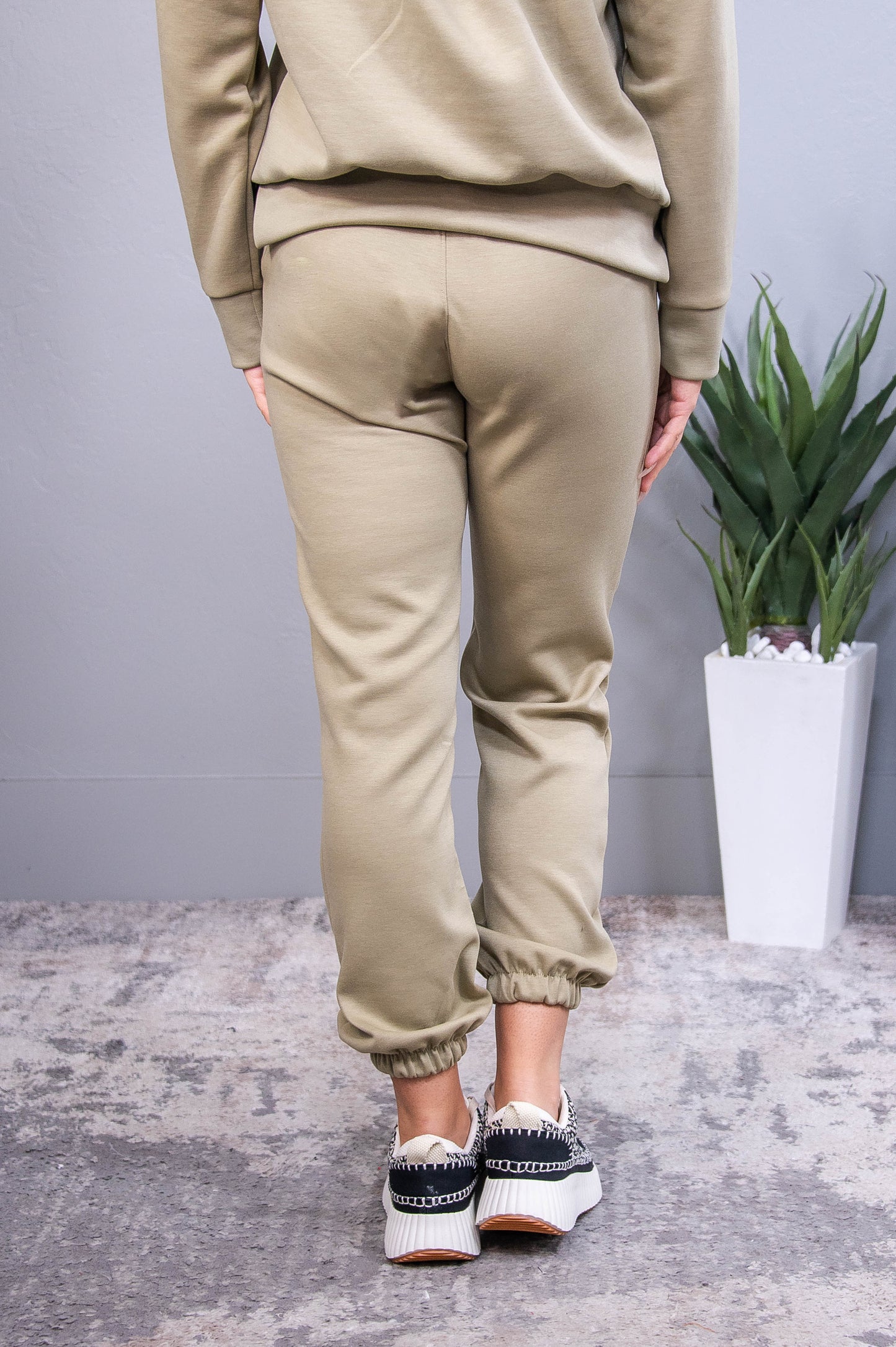 Travel Collection Malibu Light Sage Solid Joggers - PNT1742LSG